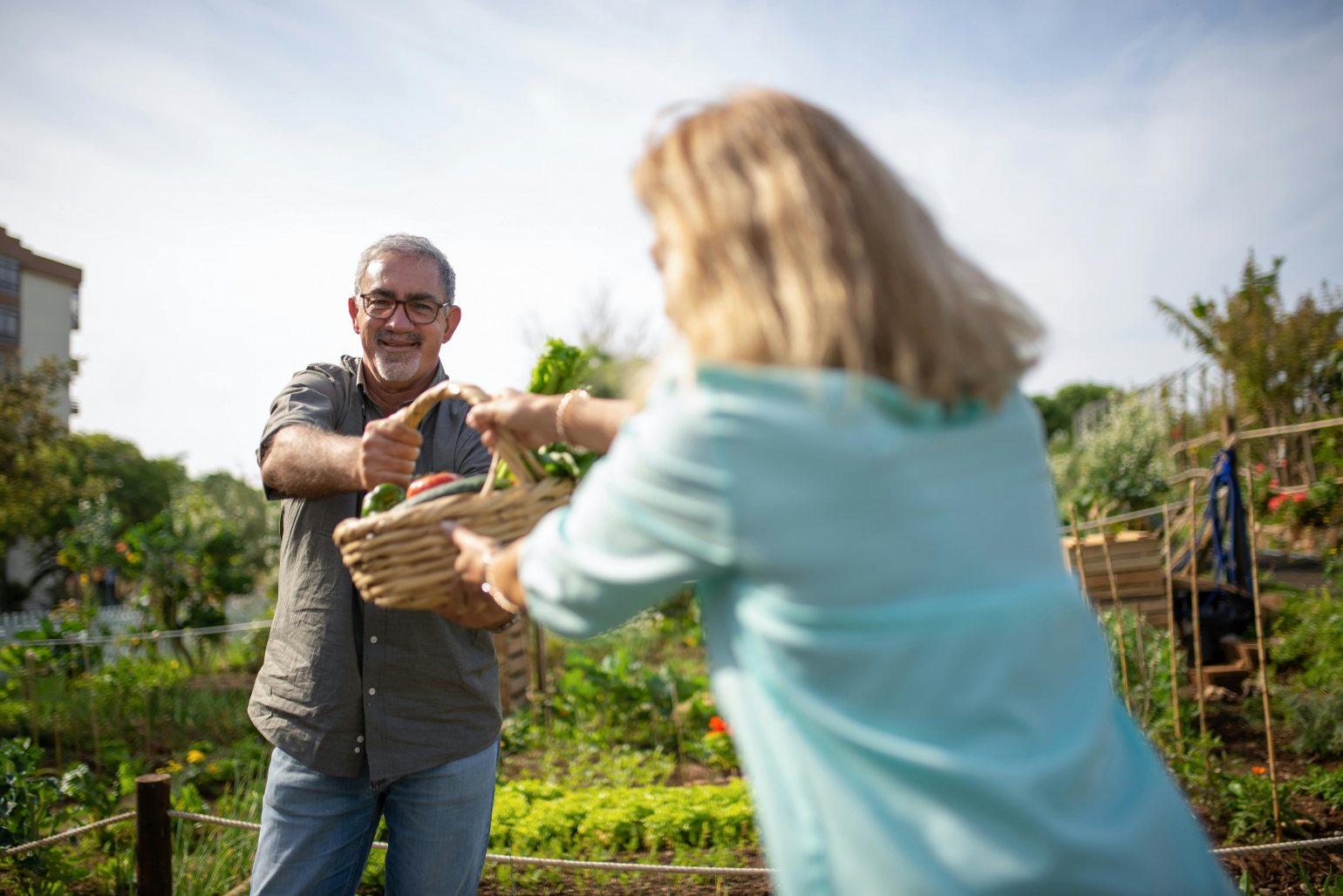 Older Couple gardening for Healthy Food at an allotment